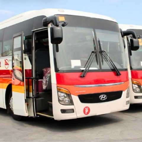 Bus